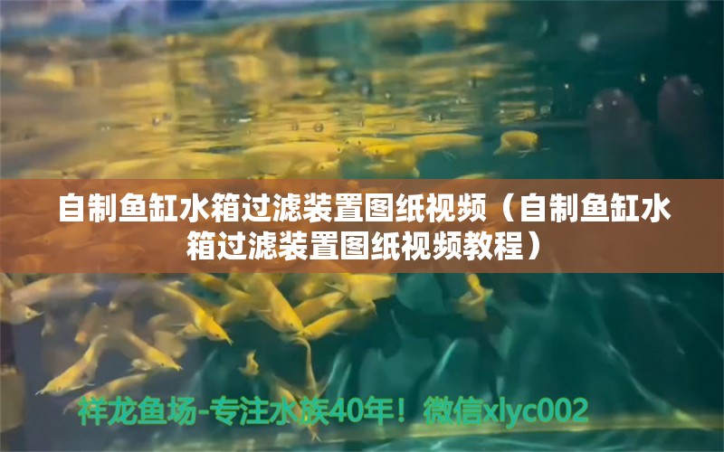 自制魚缸水箱過濾裝置圖紙視頻（自制魚缸水箱過濾裝置圖紙視頻教程）