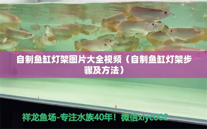 自制魚缸燈架圖片大全視頻（自制魚缸燈架步驟及方法）