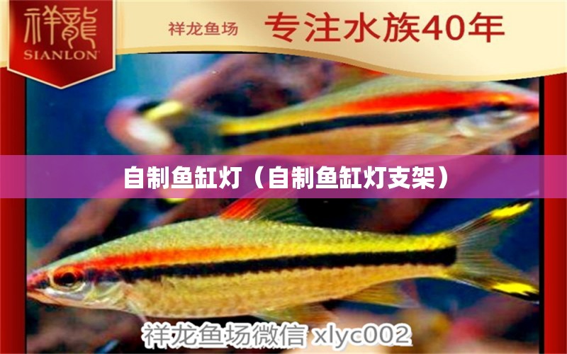 自制魚缸燈（自制魚缸燈支架） 祥龍水族醫(yī)院