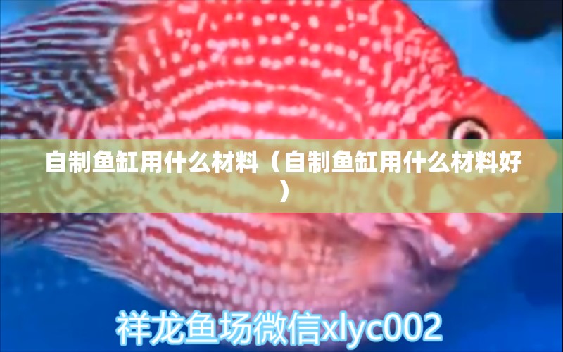 自制魚缸用什么材料（自制魚缸用什么材料好）