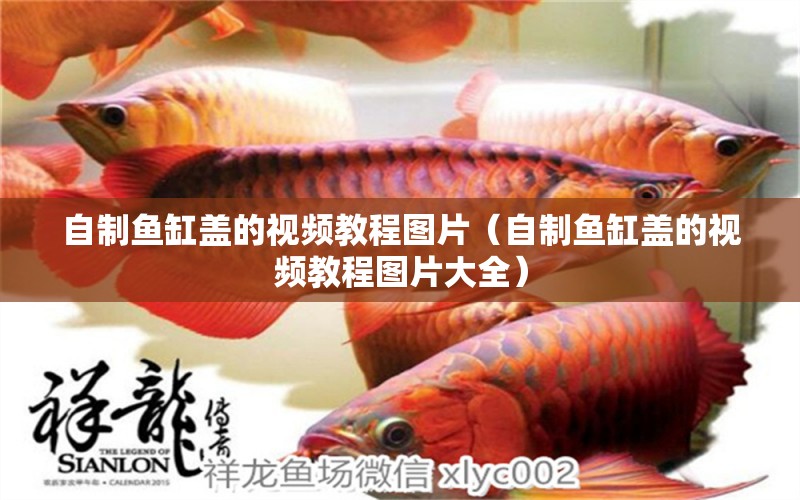 自制魚缸蓋的視頻教程圖片（自制魚缸蓋的視頻教程圖片大全）