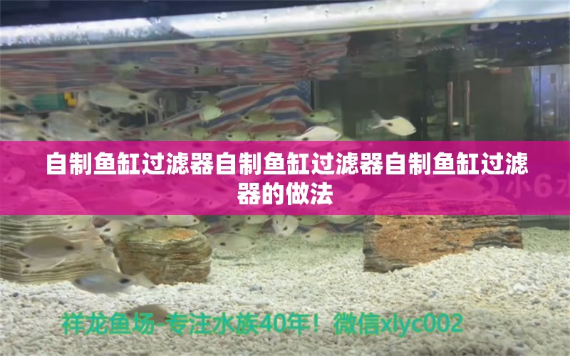 自制魚缸過濾器自制魚缸過濾器自制魚缸過濾器的做法 白條過背金龍魚