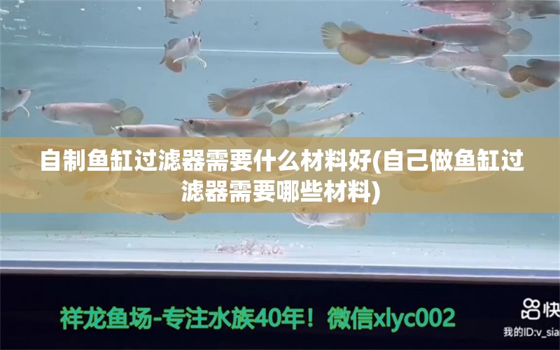 自制魚(yú)缸過(guò)濾器需要什么材料好(自己做魚(yú)缸過(guò)濾器需要哪些材料) BD魟魚(yú)