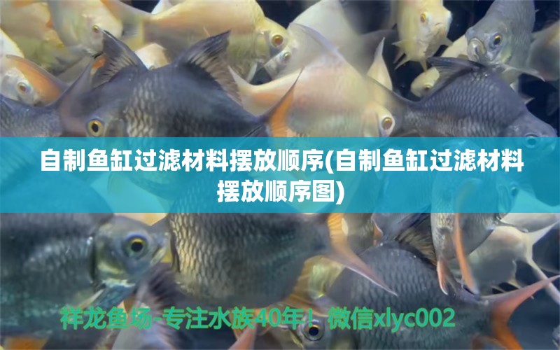 自制魚缸過濾材料擺放順序(自制魚缸過濾材料擺放順序圖) 過背金龍魚 第1張