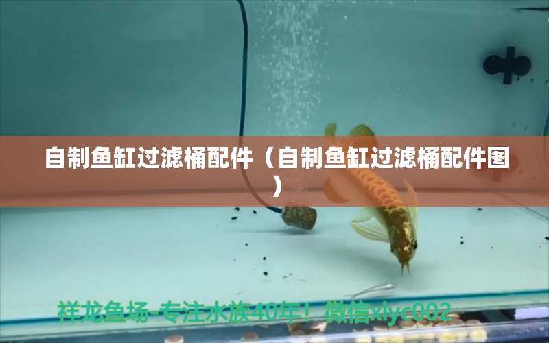 自制魚缸過濾桶配件（自制魚缸過濾桶配件圖）