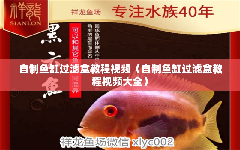 自制魚缸過濾盒教程視頻（自制魚缸過濾盒教程視頻大全） 祥龍水族醫(yī)院