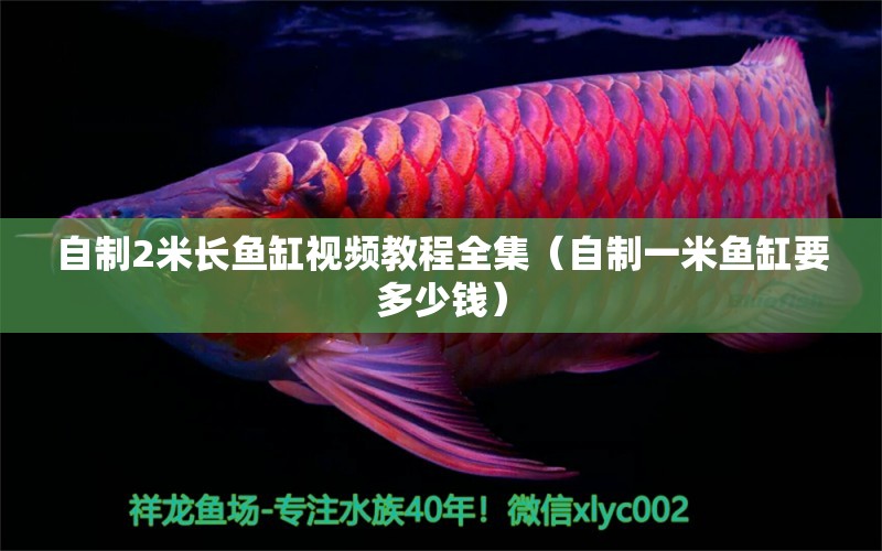 自制2米長(zhǎng)魚缸視頻教程全集（自制一米魚缸要多少錢）