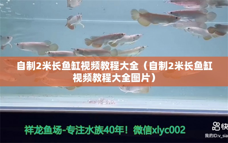 自制2米長(zhǎng)魚缸視頻教程大全（自制2米長(zhǎng)魚缸視頻教程大全圖片）