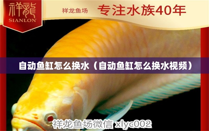 自動(dòng)魚(yú)缸怎么換水（自動(dòng)魚(yú)缸怎么換水視頻）