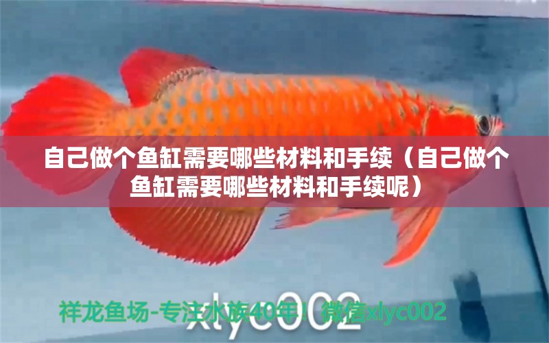 自己做個(gè)魚缸需要哪些材料和手續(xù)（自己做個(gè)魚缸需要哪些材料和手續(xù)呢）