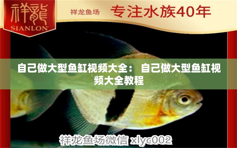 自己做大型魚缸視頻大全： 自己做大型魚缸視頻大全教程 觀賞魚飼料