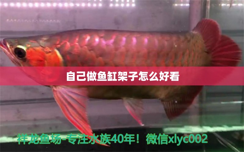 自己做魚(yú)缸架子怎么好看