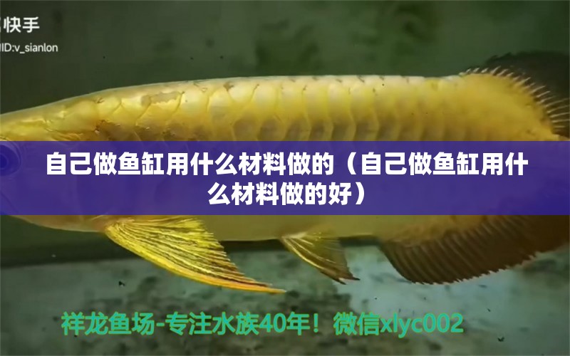 自己做魚缸用什么材料做的（自己做魚缸用什么材料做的好）