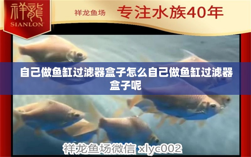 自己做魚缸過濾器盒子怎么自己做魚缸過濾器盒子呢 紅老虎魚