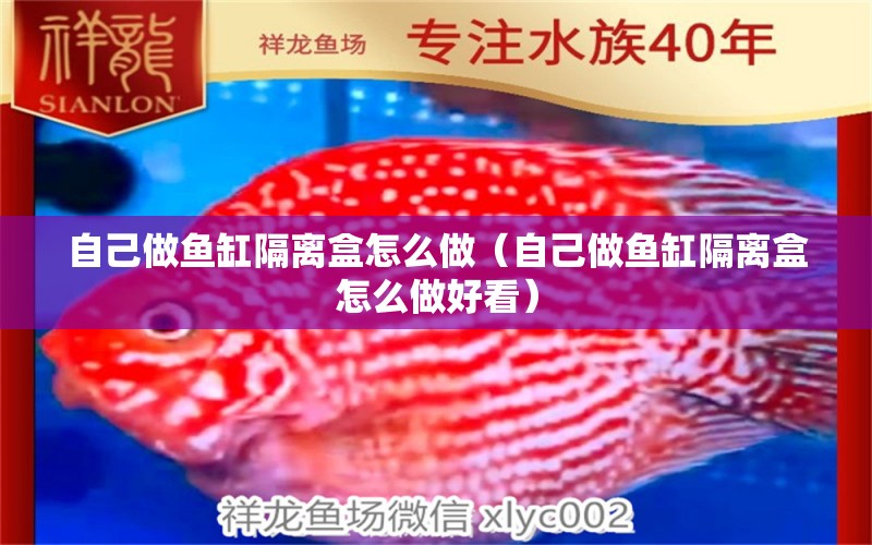 自己做魚缸隔離盒怎么做（自己做魚缸隔離盒怎么做好看）