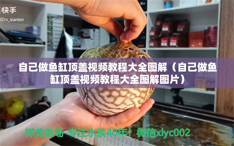 自己做魚缸頂蓋視頻教程大全圖解（自己做魚缸頂蓋視頻教程大全圖解圖片）