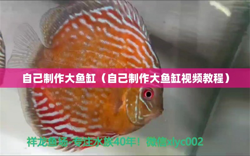 自己制作大魚缸（自己制作大魚缸視頻教程）