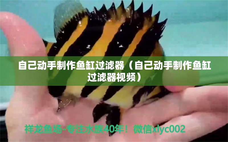 自己動手制作魚缸過濾器（自己動手制作魚缸過濾器視頻）