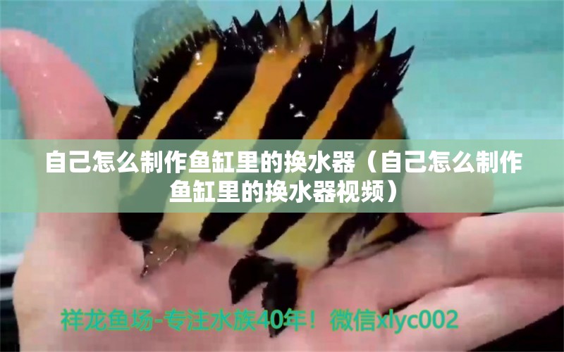 自己怎么制作魚缸里的換水器（自己怎么制作魚缸里的換水器視頻）