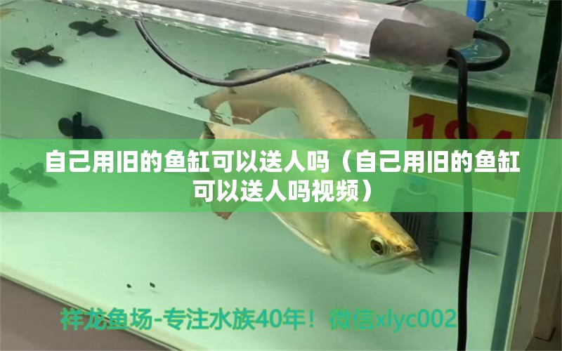 自己用舊的魚缸可以送人嗎（自己用舊的魚缸可以送人嗎視頻）