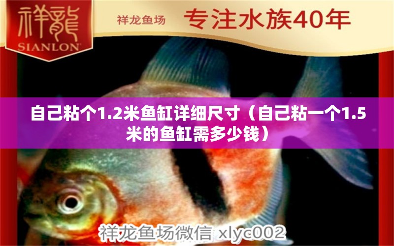 自己粘個(gè)1.2米魚(yú)缸詳細(xì)尺寸（自己粘一個(gè)1.5米的魚(yú)缸需多少錢）