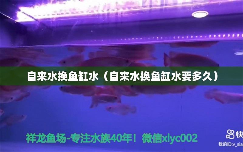 自來水換魚缸水（自來水換魚缸水要多久）