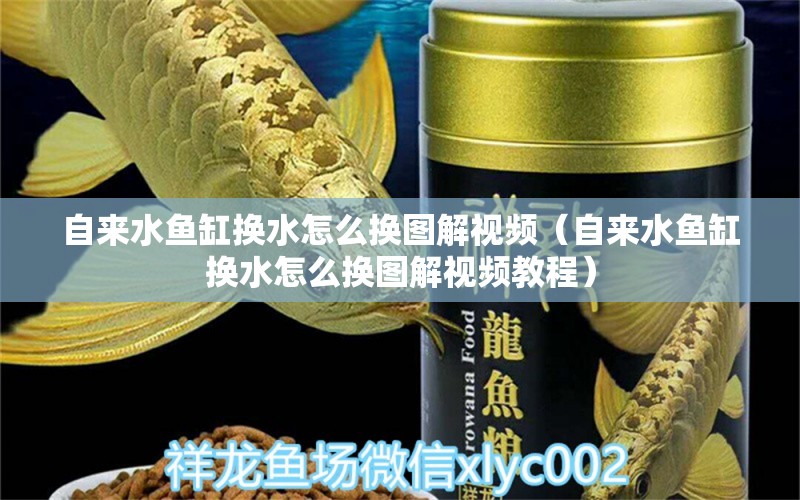 自來水魚缸換水怎么換圖解視頻（自來水魚缸換水怎么換圖解視頻教程）