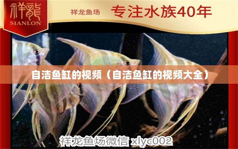 自潔魚缸的視頻（自潔魚缸的視頻大全） 祥龍水族醫(yī)院