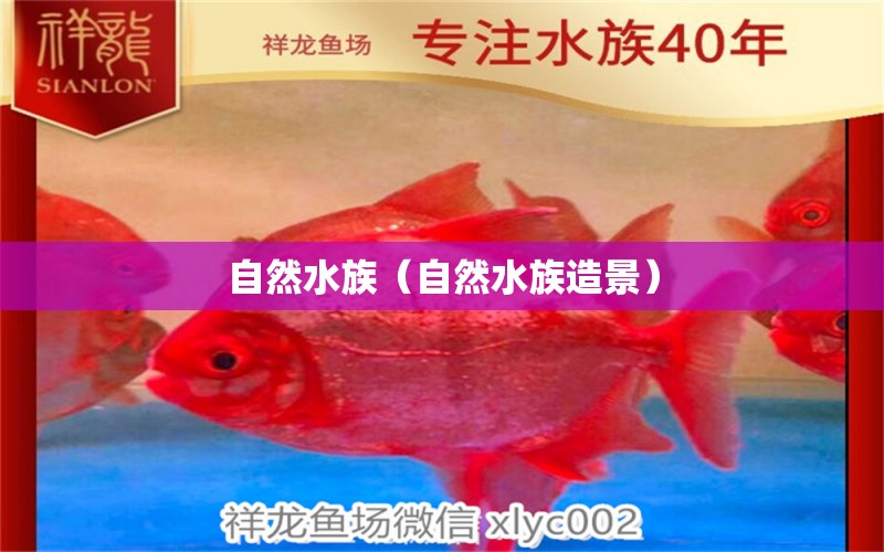 自然水族（自然水族造景） 全國水族館企業(yè)名錄