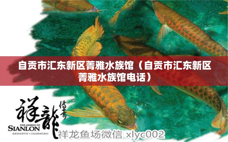 自貢市匯東新區(qū)菁雅水族館（自貢市匯東新區(qū)菁雅水族館電話）