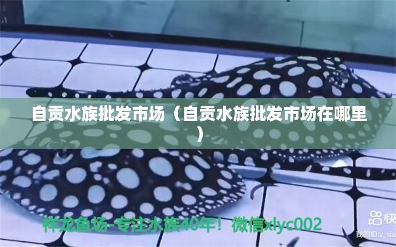 自貢水族批發(fā)市場(chǎng)（自貢水族批發(fā)市場(chǎng)在哪里）