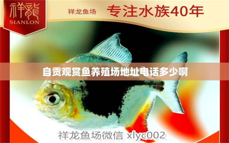 自貢觀賞魚養(yǎng)殖場地址電話多少啊