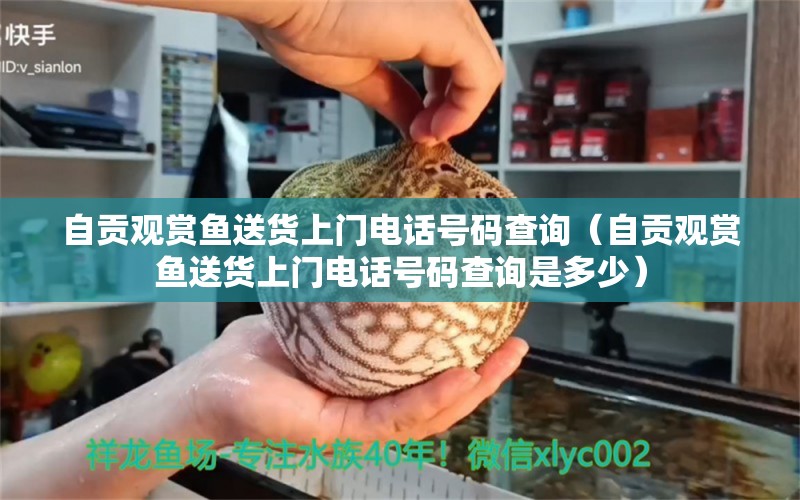 自貢觀賞魚送貨上門電話號碼查詢（自貢觀賞魚送貨上門電話號碼查詢是多少） 祥龍水族醫(yī)院