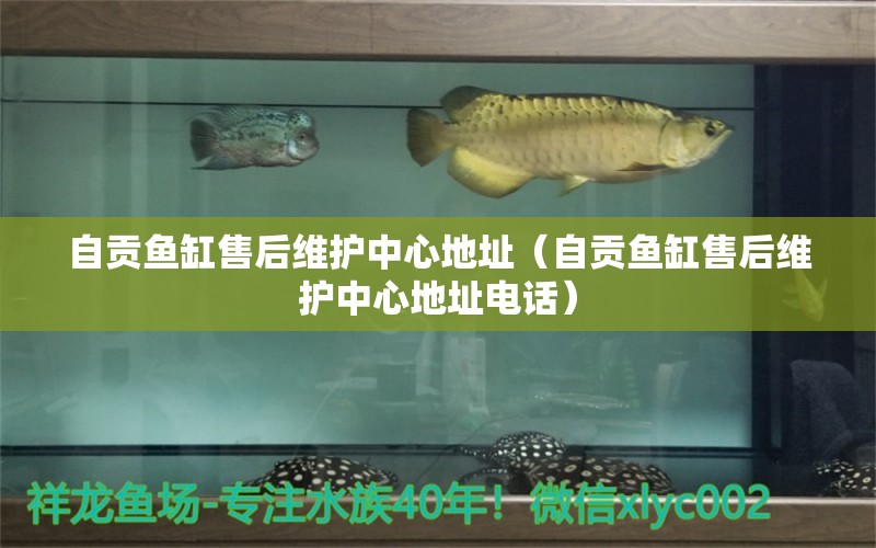 自貢魚缸售后維護(hù)中心地址（自貢魚缸售后維護(hù)中心地址電話）