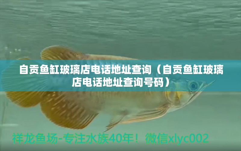 自貢魚缸玻璃店電話地址查詢（自貢魚缸玻璃店電話地址查詢號(hào)碼）