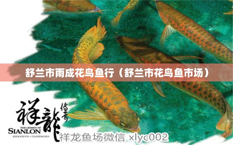 舒蘭市雨成花鳥魚行（舒蘭市花鳥魚市場） 全國水族館企業(yè)名錄 第1張