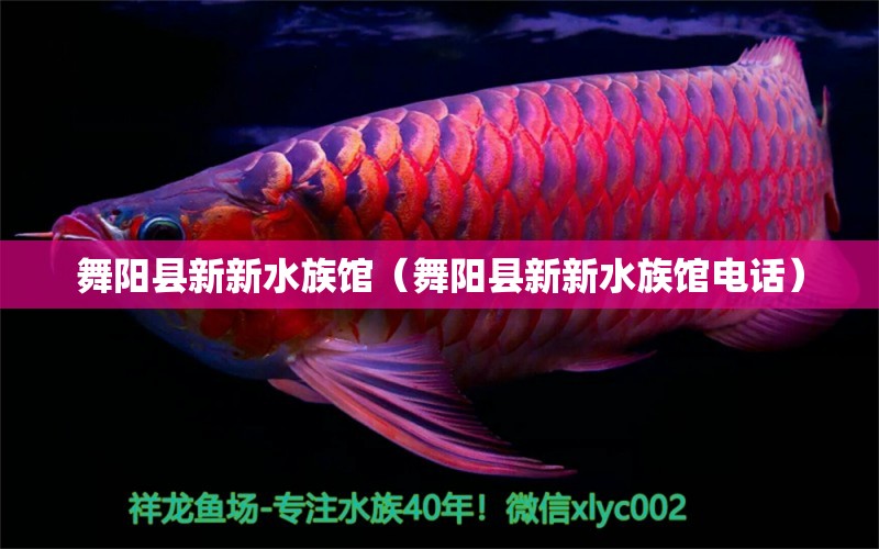 舞陽(yáng)縣新新水族館（舞陽(yáng)縣新新水族館電話） 全國(guó)水族館企業(yè)名錄