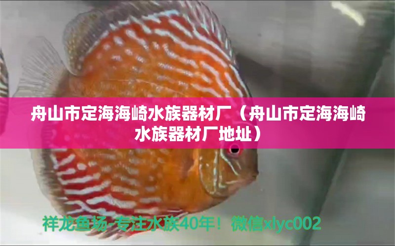 舟山市定海海崎水族器材廠（舟山市定海海崎水族器材廠地址） 全國(guó)水族館企業(yè)名錄