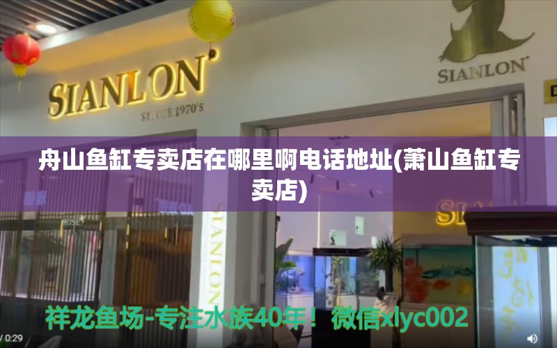 舟山魚缸專賣店在哪里啊電話地址(蕭山魚缸專賣店) 水族品牌 第1張