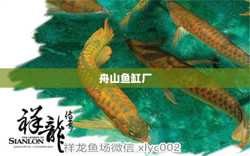 舟山魚(yú)缸廠