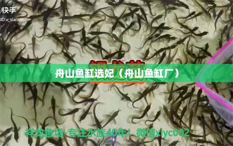 舟山魚缸選妃（舟山魚缸廠）