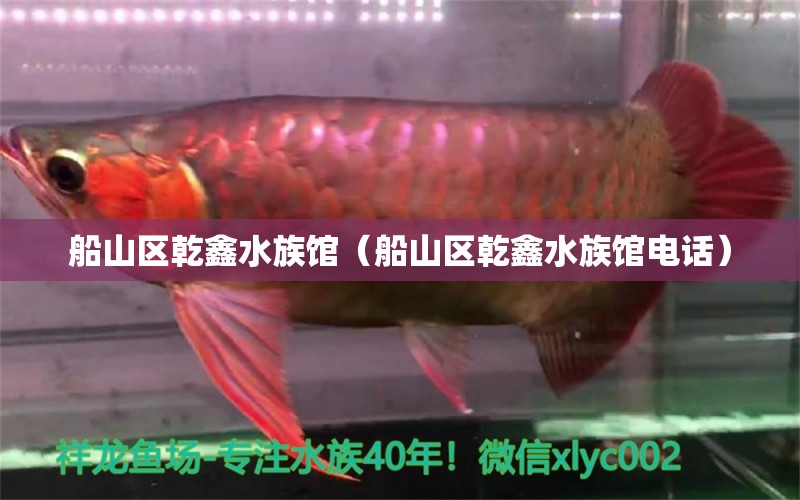 船山區(qū)乾鑫水族館（船山區(qū)乾鑫水族館電話） 全國水族館企業(yè)名錄