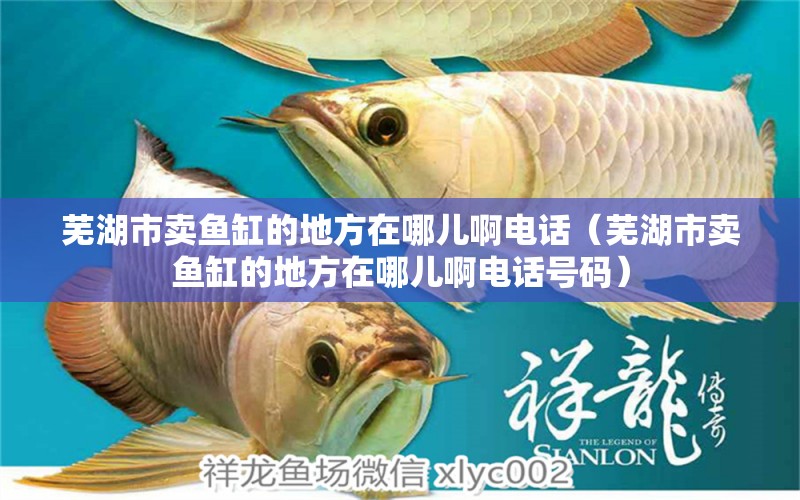 蕪湖市賣魚缸的地方在哪兒啊電話（蕪湖市賣魚缸的地方在哪兒啊電話號碼） 祥龍水族醫(yī)院