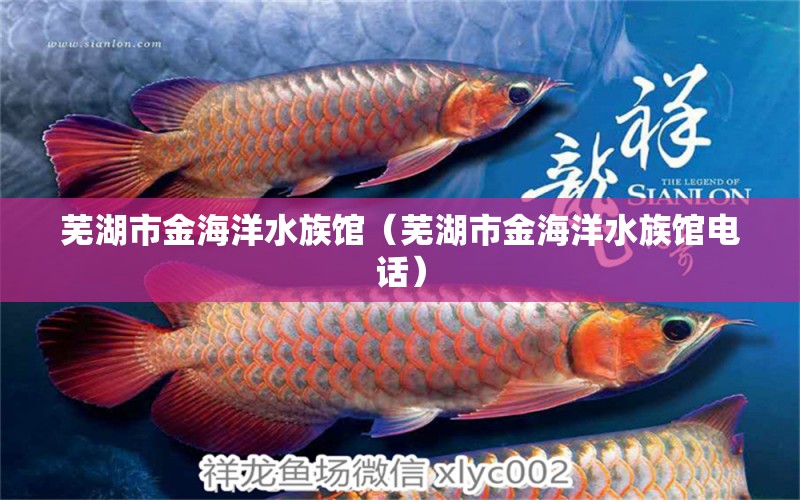 蕪湖市金海洋水族館（蕪湖市金海洋水族館電話(huà)）