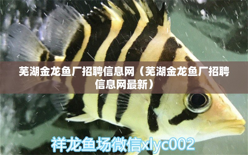 蕪湖金龍魚廠招聘信息網(wǎng)（蕪湖金龍魚廠招聘信息網(wǎng)最新） 祥龍水族醫(yī)院