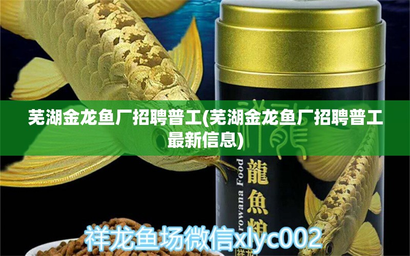 蕪湖金龍魚廠招聘普工(蕪湖金龍魚廠招聘普工最新信息) 泰國雪鯽魚