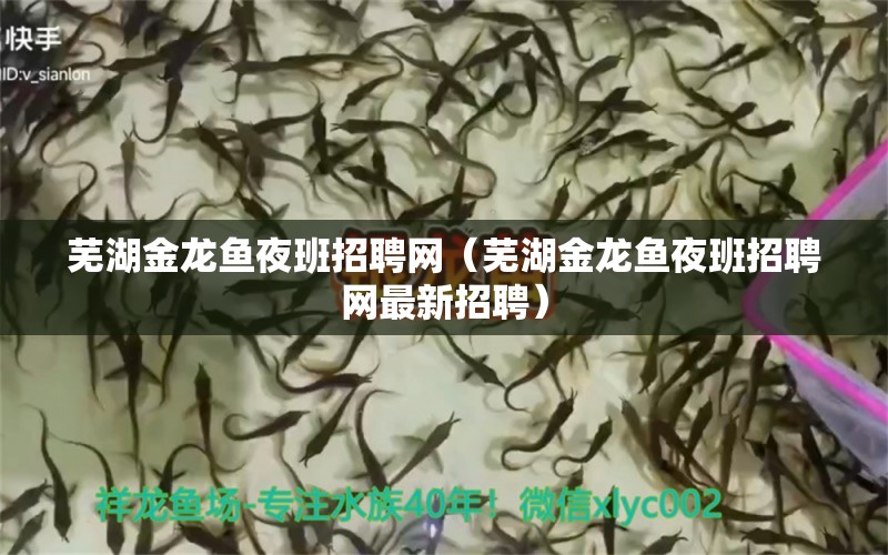 蕪湖金龍魚夜班招聘網(wǎng)（蕪湖金龍魚夜班招聘網(wǎng)最新招聘） 水草