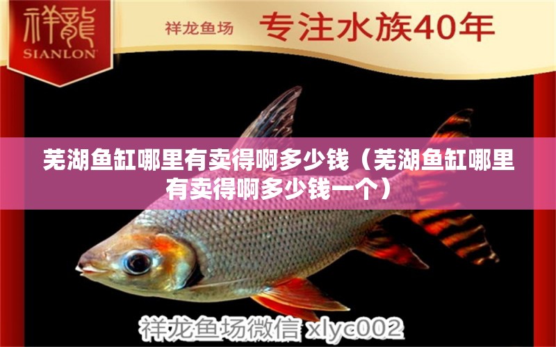 蕪湖魚(yú)缸哪里有賣(mài)得啊多少錢(qián)（蕪湖魚(yú)缸哪里有賣(mài)得啊多少錢(qián)一個(gè)） 祥龍水族醫(yī)院