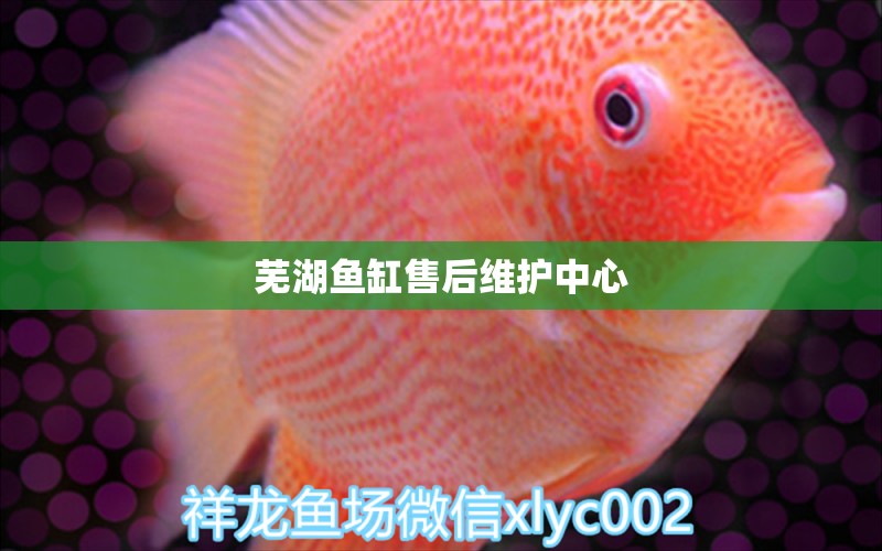 蕪湖魚缸售后維護(hù)中心 其他品牌魚缸