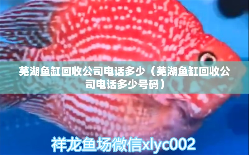 蕪湖魚缸回收公司電話多少（蕪湖魚缸回收公司電話多少號(hào)碼） 金三間魚